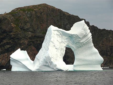 Icebergs & Whales - Twillingate Tourism, Newfoundland, Canada