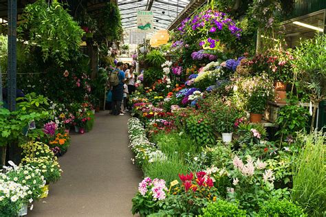 Food, flowers and antiques: a guide to markets in Paris - Lonely Planet