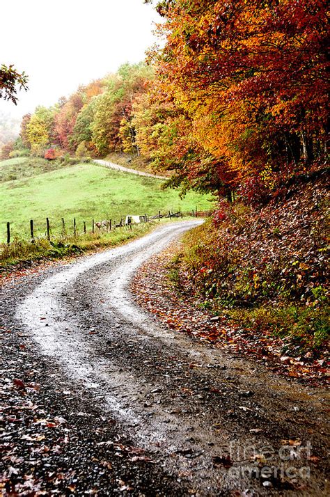 Autumn Country Road Photograph by Thomas R Fletcher