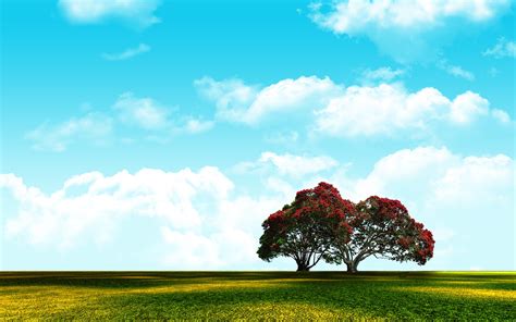 sky, Nature, Landscape, Adobe Photoshop Wallpapers HD / Desktop and ...