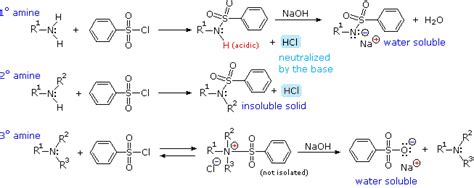 Amine Reactivity