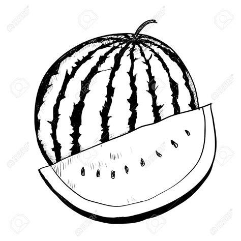 watermelon outline clipart 10 free Cliparts | Download images on Clipground 2024