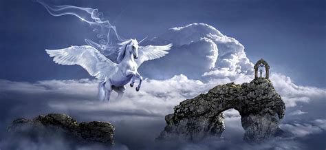 The winged horse Photograph by Bruce Matczak - Fine Art America