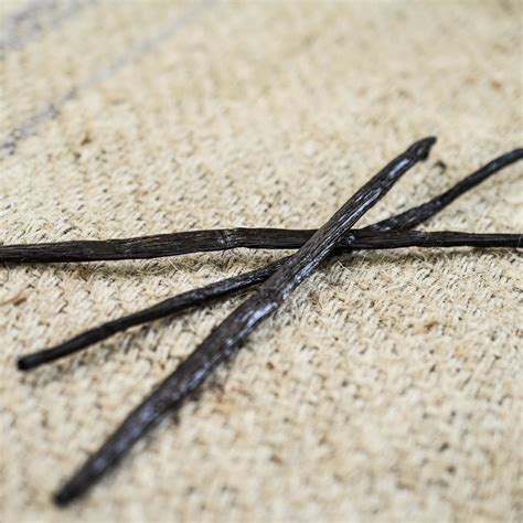 Madagascar Vanilla Beans (3) - Oaktown Spice Shop