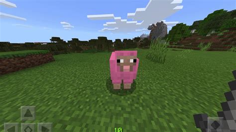 I found a pink sheep in Minecraft! - YouTube