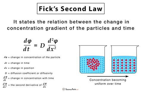 Fick’s Laws of Diffusion: Formulas, Equations, & Examples