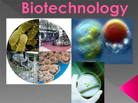 What Is Biotechnology Used For In Medicine at Kaylee Jamila blog