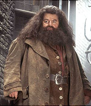 Rubeus Hagrid - Wikipedia