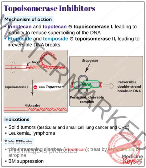 Topoisomerase inhibitors - Medicine Keys for MRCPs