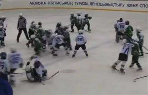 9-Year-Old Kids’ Hockey Fight [VIDEO]