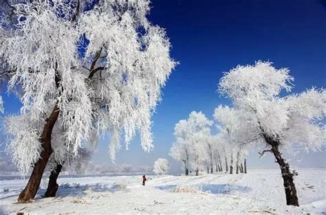 全国最著名的10大雪景观赏地是哪里？ - 知乎