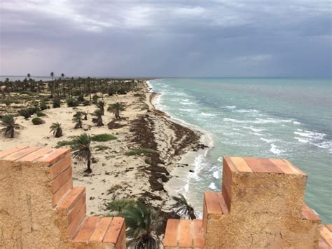 The ecologists rescuing the natural wonders of Libya's Farwa island | Middle East Eye