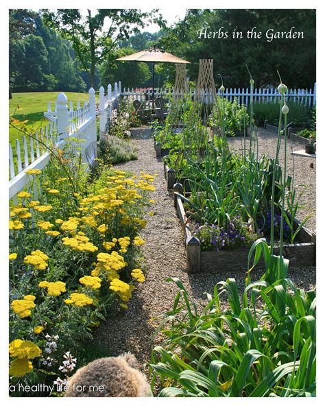 Planning Ideas for your Vegetable Garden - A Healthy Life For Me