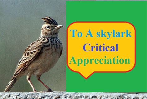 Ode to a skylark critical appreciation or analysis theme summary