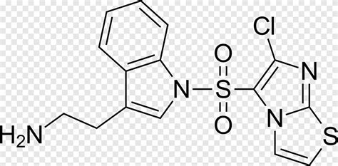 Enzyme Molecule Structure