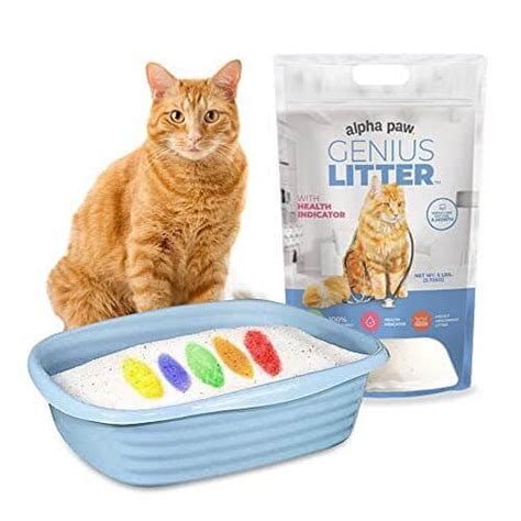 Pretty Litter Alternatives: Top 5 Options Reviewed [2024]