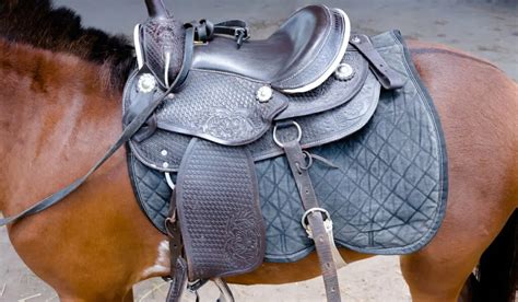 Western Saddle Parts: A Look At What Things Are Called - Helpful Horse ...