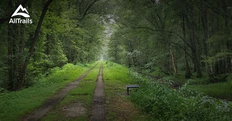 Best Trails in Great Dismal Swamp National Wildlife Refuge - Virginia ...