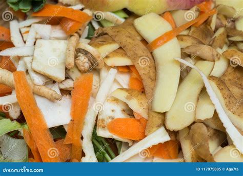 Rotting Kitchen Fruits and Vegetable Waste for Compost Stock Image - Image of fruit, agriculture ...