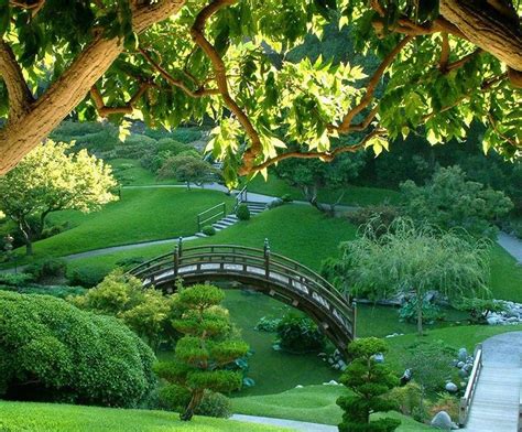 Sacred garden | Beautiful gardens, Japanese garden, Green garden