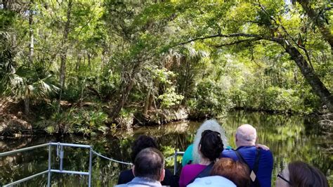 Getting Up Close and Personal at Homosassa Springs Wildlife State Park ...