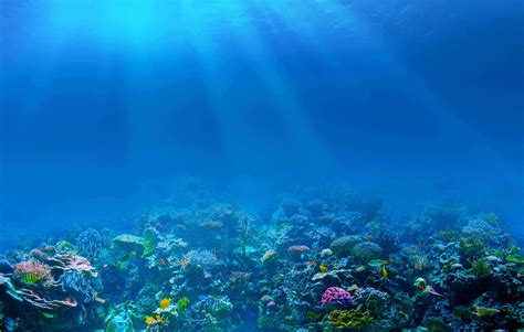 Live Wallpaper Hd Full Sea Ocean Underwater Rays - Modern 3d Tiles ...