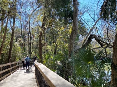 See Manatees In Florida Year Round - Homosassa Springs Wildlife Park ...