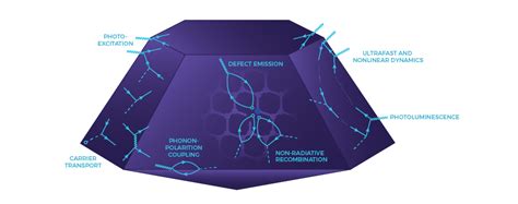 Excited State Dynamics and Open Quantum Systems - Narang Lab