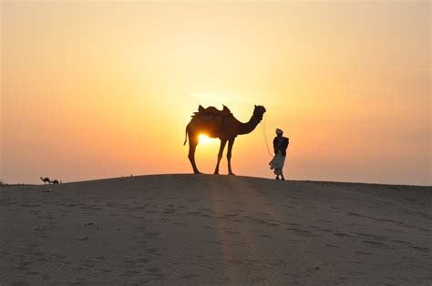 Images Gratuites : paysage, le sable, horizon, lever du soleil, le ...