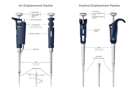 Pipette Aspiration Should Be Done In What Manner at Leah Cook blog