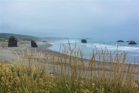 The Coast Along Brookings, Oregon Stock Photo - Image of bush, green ...