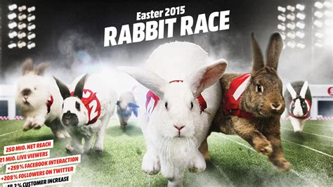 Media Markt Management | Rabbit Race | The One Club