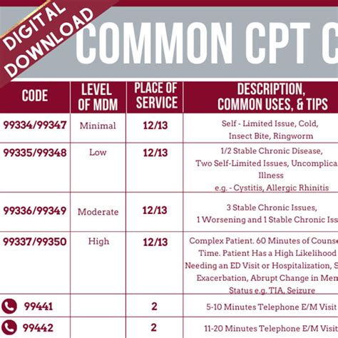 Common CPT Codes Medical Coding Digital Download - Etsy Ireland