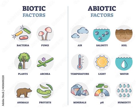 Biotic and abiotic factors as biological elements division outline ...