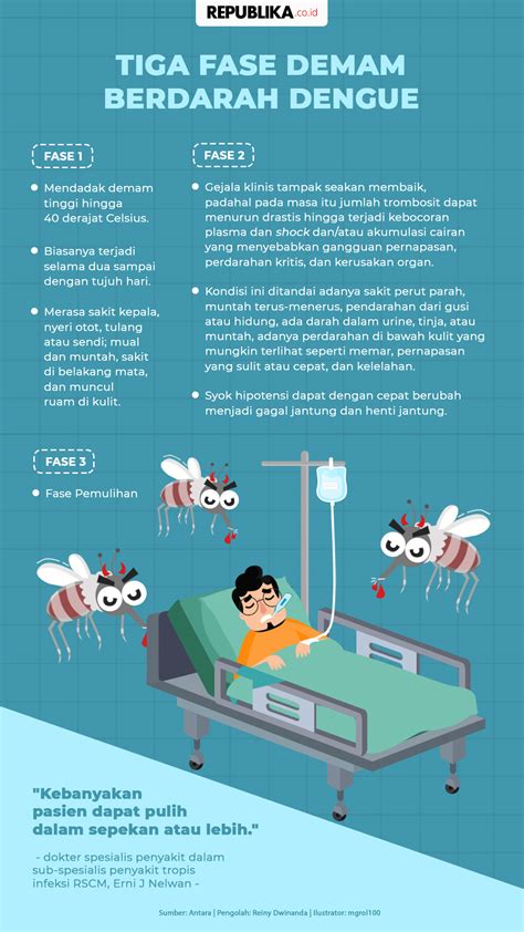 Infografis Demam Berdarah – NBKomputer