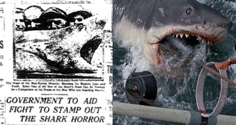 Shark Attacks Of 1916: Four Gruesome Deaths That Began Shark Mania