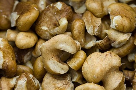 Black Walnut Tree Julans Nigra Edible Nuts Plus Timber Wood | Etsy