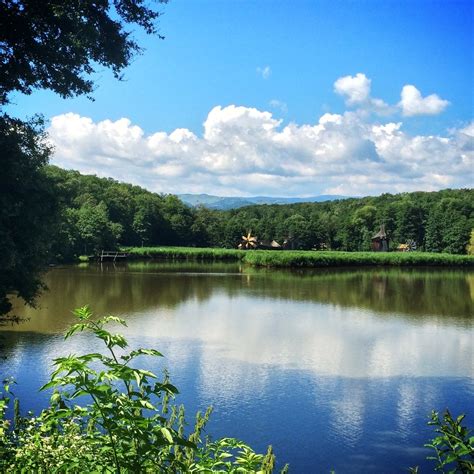 Dumbrava Sibiului Natural Park a Sibiu: Tour e Visite Guidate | Expedia.it