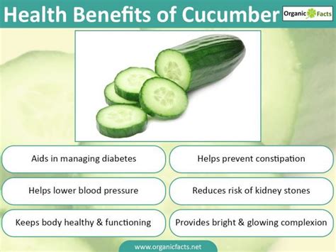 5 Wonderful Benefits Of Cucumber | Oze Marketing | Memo Plus Gold ...