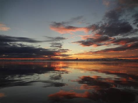 Mission Beach, San Diego. Sunset, Lone Surfer : surfing