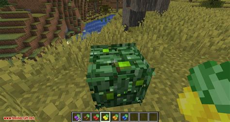 Berry Bushes Mod 1.15.2, 1.14.4 (Randomly Spawn Berry Bushes with ...