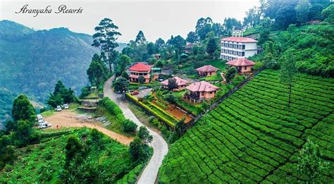 ARANYAKA RESORTS MUNNAR: UPDATED 2021 Hotel Reviews, Price Comparison ...