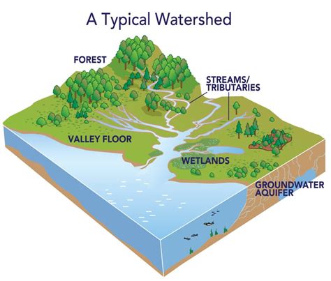 Watershed Diagram