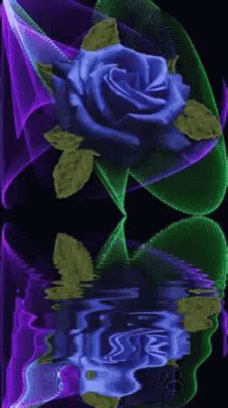 Blue Rose GIF - Blue Rose Reflection - Discover & Share GIFs