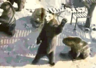 waving bear gif | WiffleGif