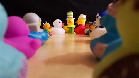 A rubber ducky wedding!! : r/rubberducks