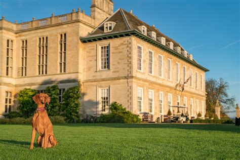 Looking for a dog-friendly hotel in the UK? Stapleford Park is the perfect luxury escape for you ...