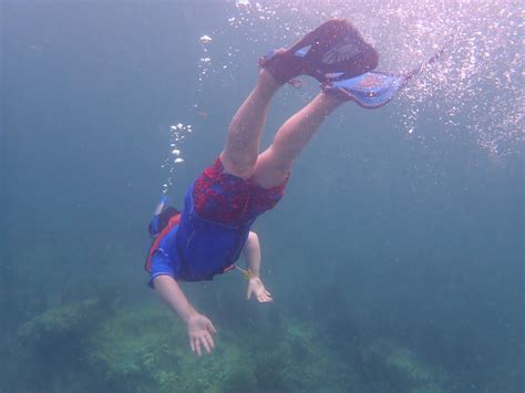 Snorkeling in Key Largo | Smithsonian Photo Contest | Smithsonian Magazine