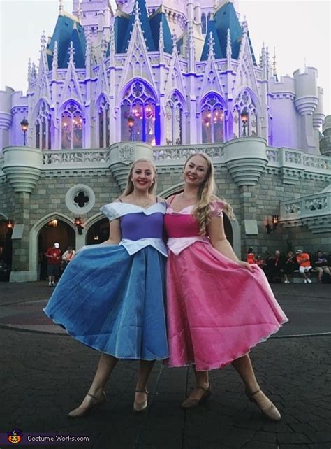 Princess Aurora Costume