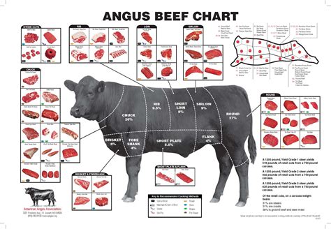 beef cut diagram | Another chart from National Cattlemen's with cuts and cooking methods ...